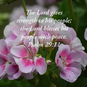 Meet your Posher, Priscilla